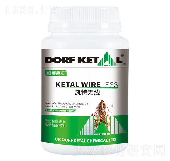 凱特?zé)o線-道夫凱特