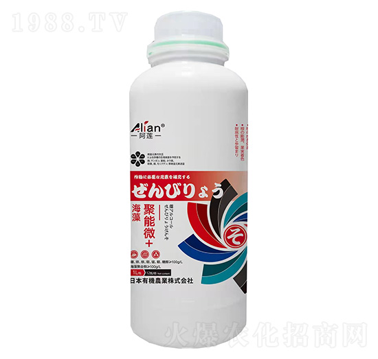 �������΢+-��ɏ-��(gu��)�r(n��ng)��