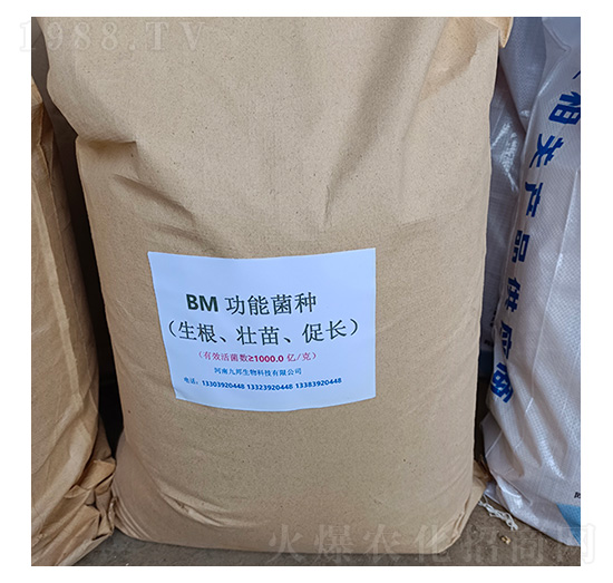 BM生物肥功能菌（生根壯苗促長）-九邦生物