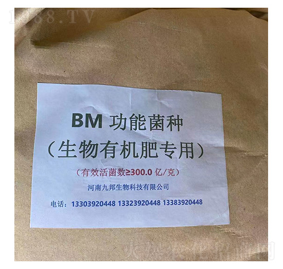 功能菌生物肥專(zhuān)用-九邦生物