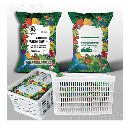 新①代魚蛋白沃根膨果鉀王（箱）-亮貝-田博士