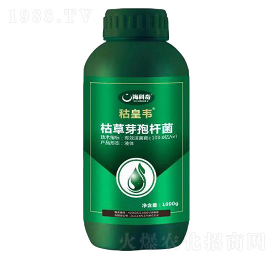 �ݲ�ѿ�ߗU��-�s���f-������