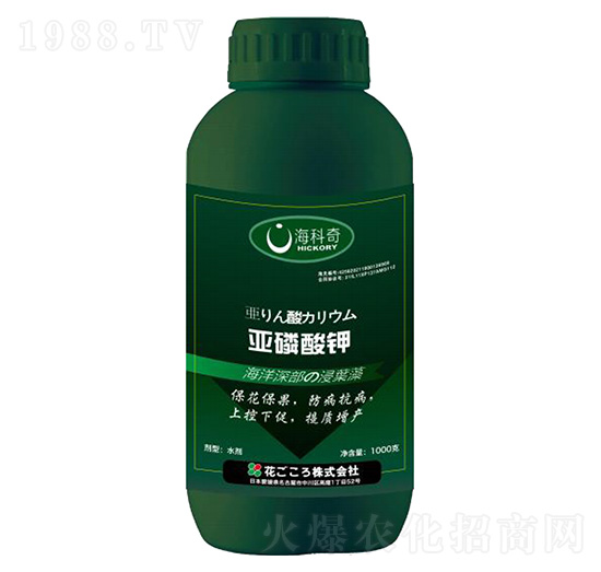 �������-������