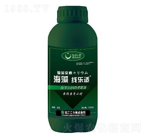 海藻線樂(lè)適-?？破? style=