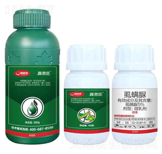 5%ʭ����-���Z��-������