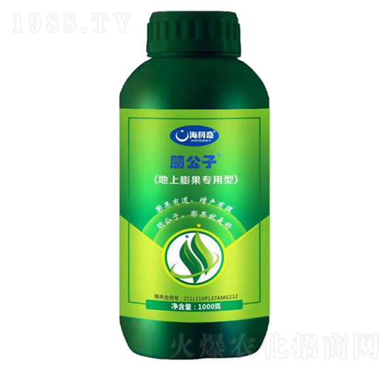 ������������ʹ���Ԫ��ˮ�ܷ���-����-������