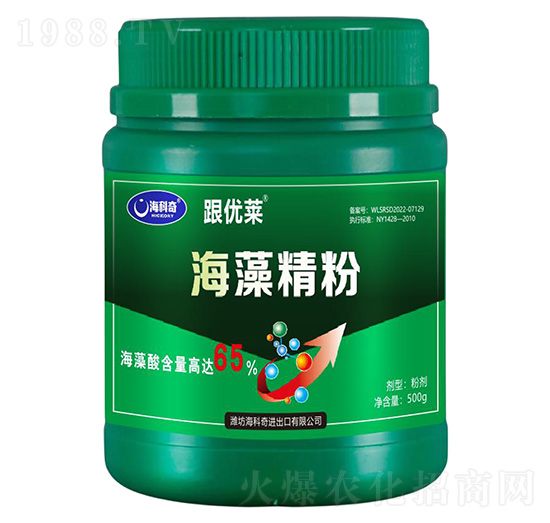 ���徫��-����(y��u)�R-������