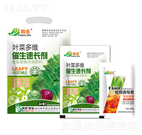 葉菜多維催生速長(zhǎng)劑-韓金-韓邦肥業(yè)