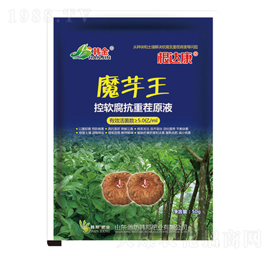 魔芋王控軟腐抗重茬原液-根達(dá)康-韓金-韓邦肥業(yè)