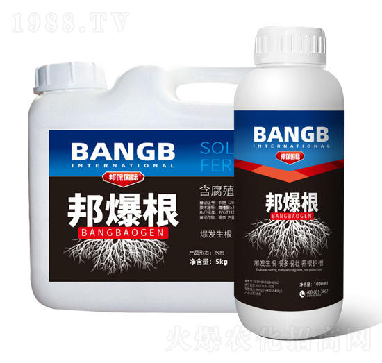 含腐殖酸水溶肥料-邦爆根-邦保國(guó)際