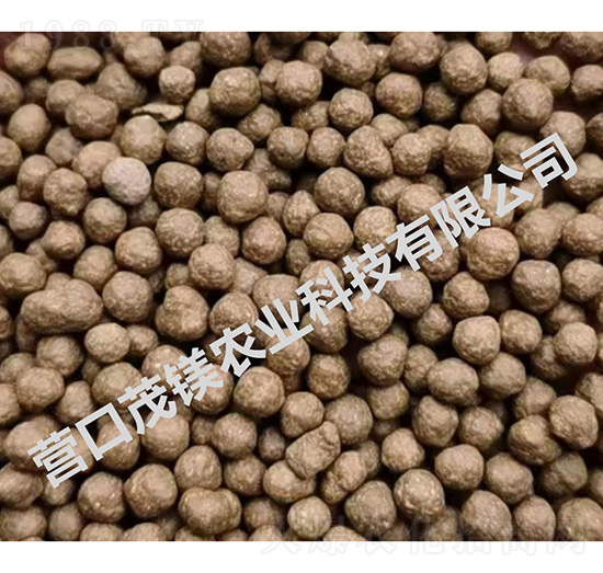 ��͹���w��-ï�V�r(n��ng)�I(y��)