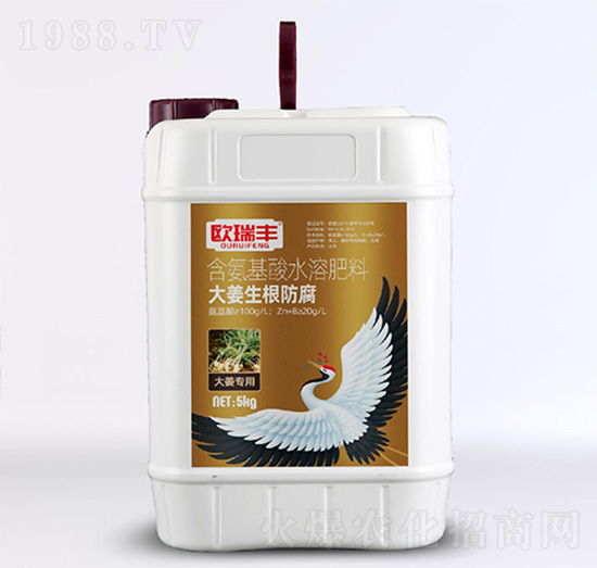 大姜生根防腐-含氨基酸水溶肥料-歐瑞豐