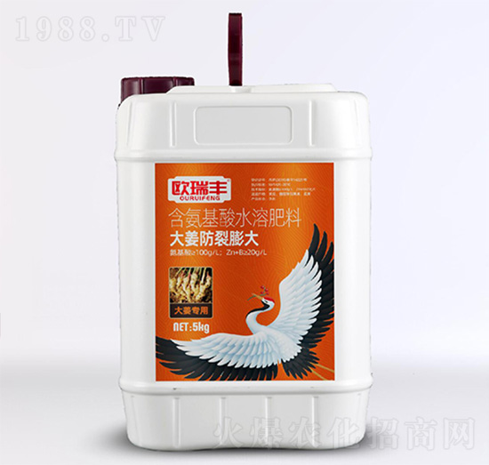 大姜防裂膨大-含氨基酸水溶肥料-歐瑞豐