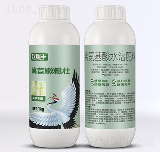 萵苣嫩粗壯-含氨基酸水溶肥料-歐瑞豐