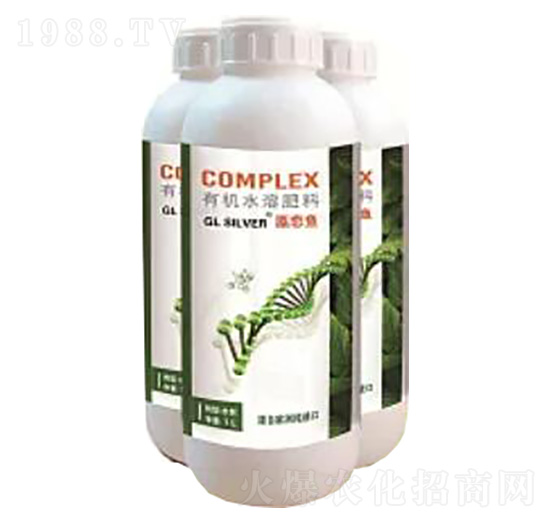 藻戀魚-若瞳生物