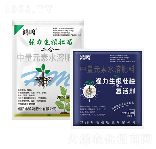 強力生根壯苗-鴻鳴