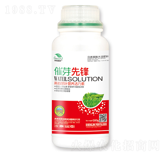 高端茶葉營養(yǎng)活力素-催芽先鋒-宇東植康-圣金肥業(yè)