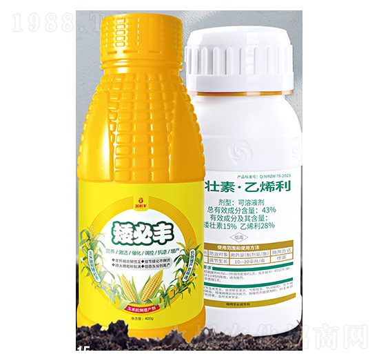 東北地區(qū)專用玉米抗倒增產(chǎn)劑-玉米矮必豐-金必豐