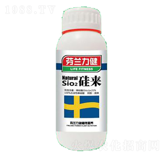 硅來-世力高生物