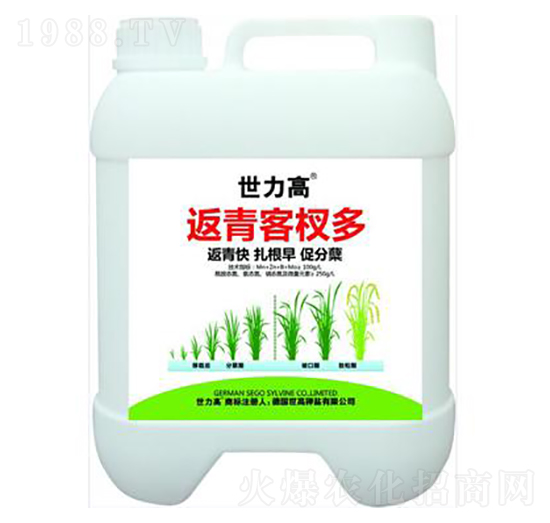 返青分蘗肥-世力高生物