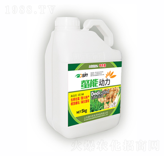 螯能動(dòng)力-康爾特