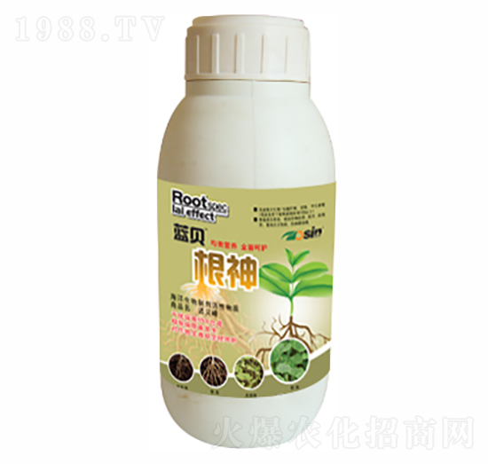 ����-�{ؐ-������