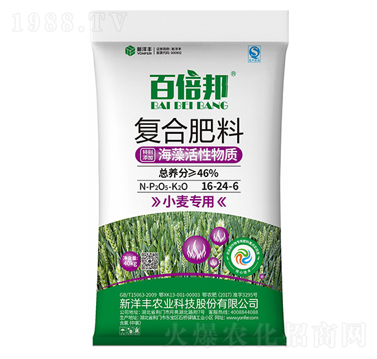 小麥專用海藻活性復(fù)合肥料16-24-6-百倍邦-新洋豐