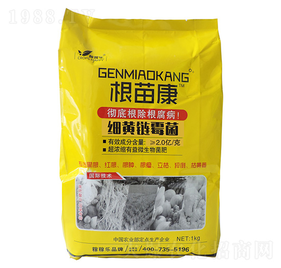 ��(x��)�S�ù��-���翵-�ڼژ�