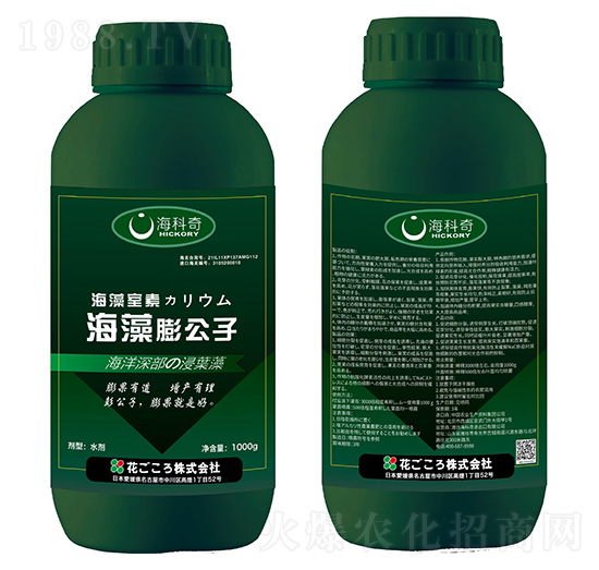 海藻膨公子-?？破? style=