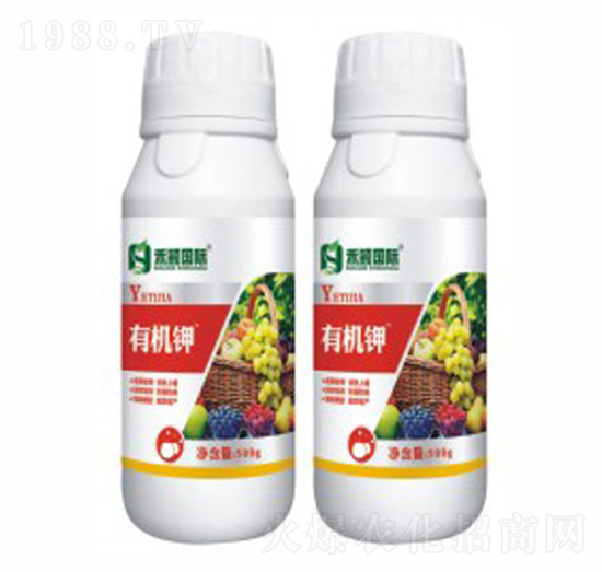 �ЙC�K-�̷f����