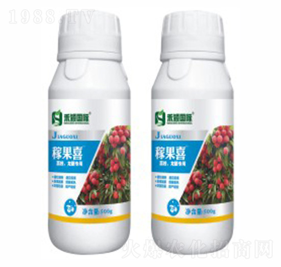 ��֦�����ی���-�ڹ�ϲ-�̷f����