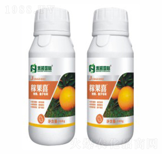 ������ɰ���١����ӌ���-�ڹ�ϲ-�̷f����