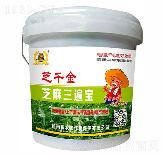 ֥�����錚-֥ǧ��-�������r