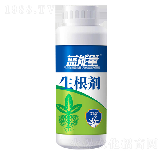 生根劑-藍(lán)能量-藻源植物