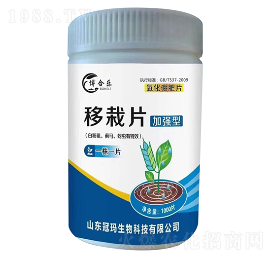 白粉虱薊馬蚜蟲專用移栽片（加強(qiáng)型）-博合樂(lè)-冠瑪農(nóng)業(yè)
