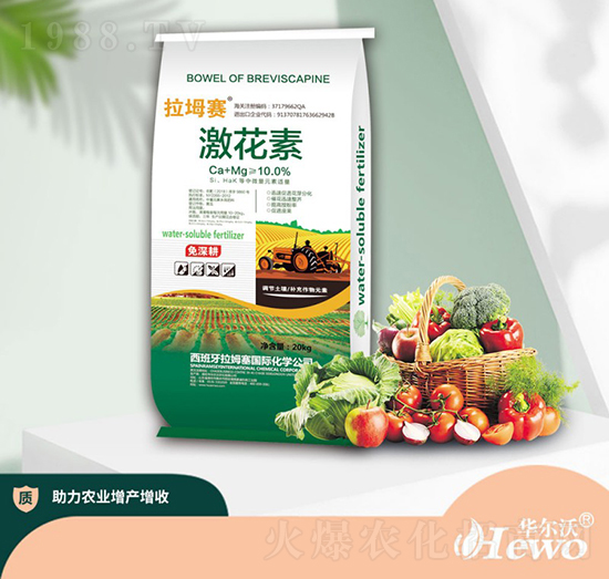 20kg激花素-拉姆塞-華爾沃