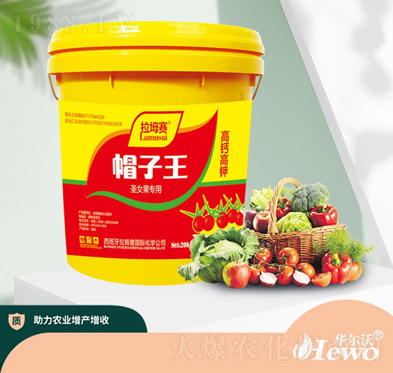 ʥŮ����(zhu��n)��-��ķ��-�A����