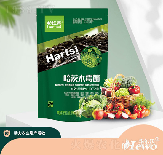 ����ľù��-����ِ-�A����