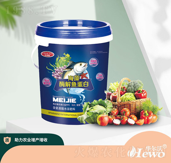 ����ø���~����-�A����