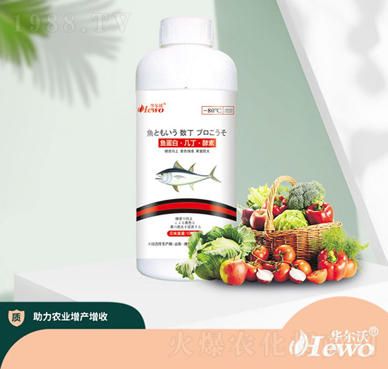 �~���ס��׶�������-�A����