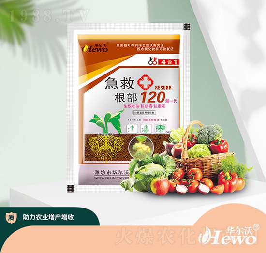 ���ȸ���120-�A����