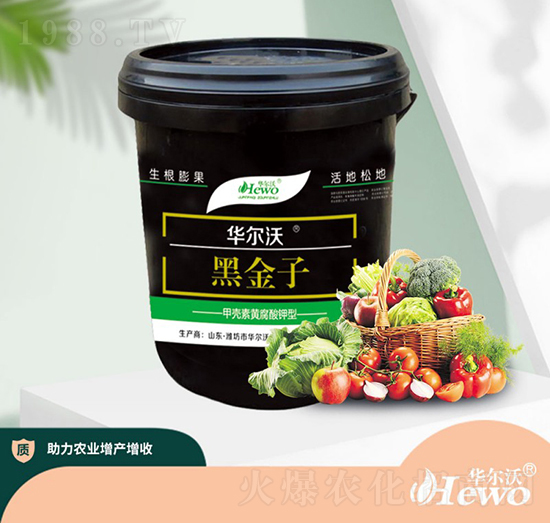 �ڽ���-�A����