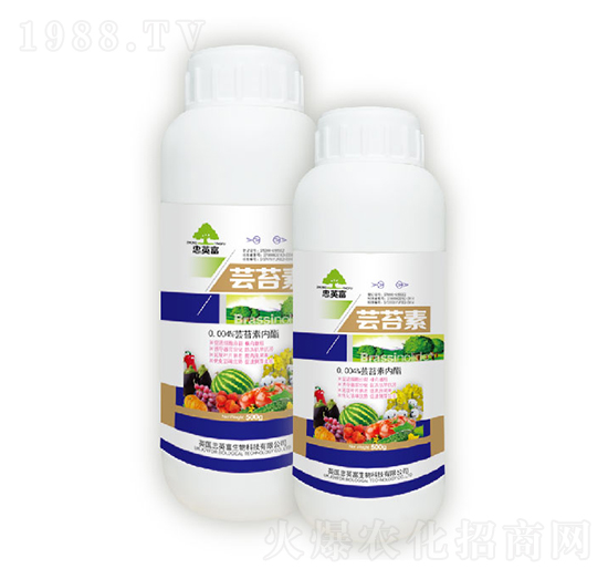 蕓苔素（瓶）-億佳豐