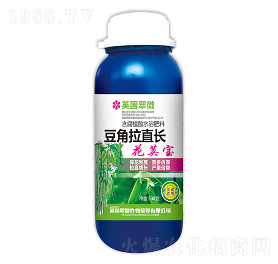 500g豆角拉直長(zhǎng)花莢寶-翠微