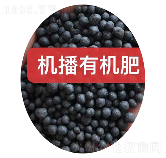 �C���ЙC���w��-���r(n��ng)�r(n��ng)�Y