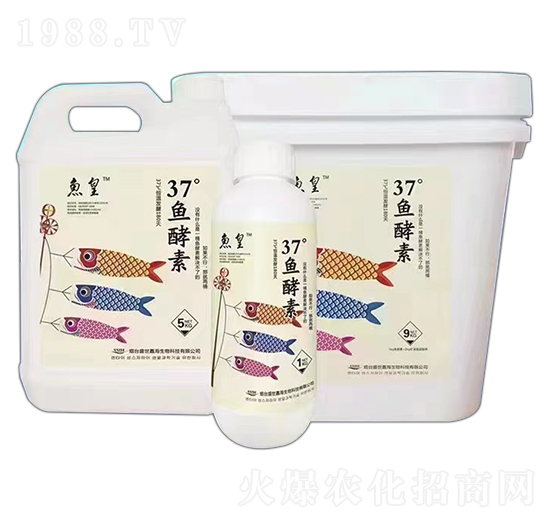 37°魚酵素-魚皇-盛世嘉海