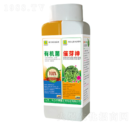 �ЙC��+��ѿ��-��������