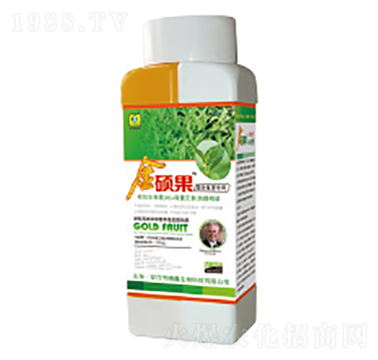 ��T���~���-��������