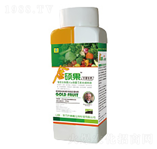 ���ߌ��ý�T���~���-��������