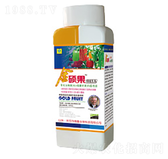 �߲ˌ��ý�T���~���-��������